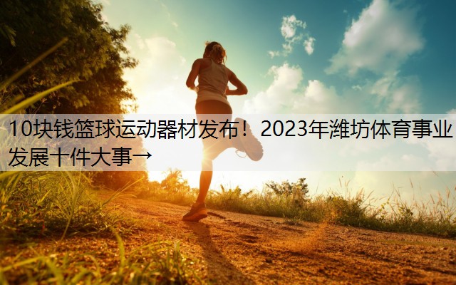 10块钱篮球运动器材发布！2023年潍坊体育事业发展十件大事→