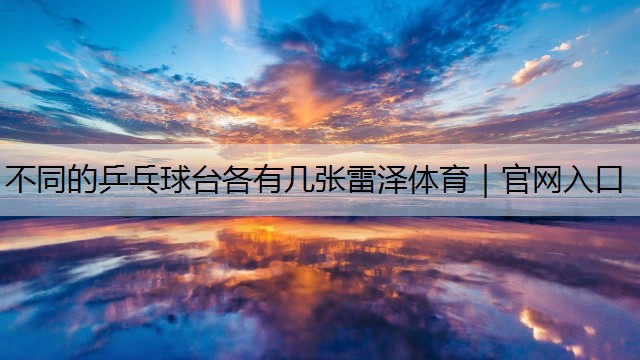 不同的乒乓球台各有几张雷泽体育｜官网入口