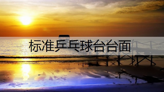 标准乒乓球台台面