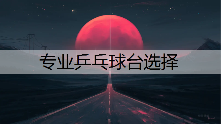 专业乒乓球台选择