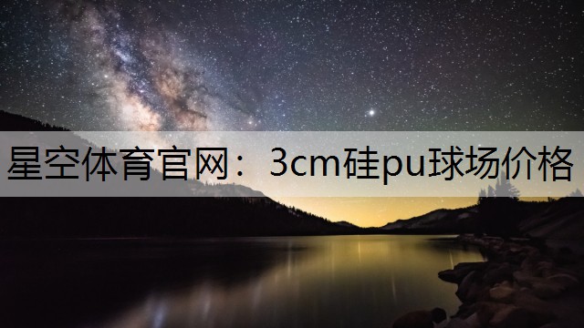 3cm硅pu球场价格